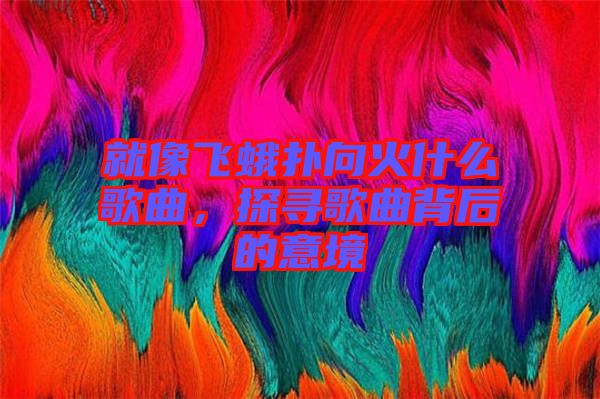 就像飛蛾撲向火什么歌曲，探尋歌曲背后的意境