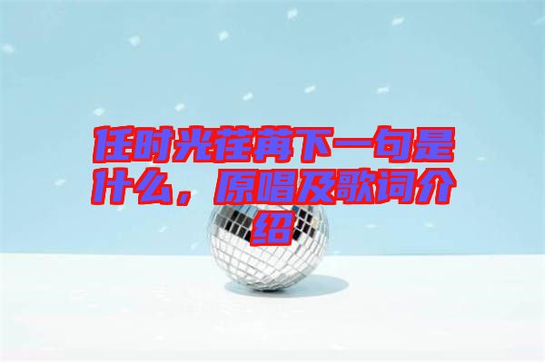 任時(shí)光荏苒下一句是什么，原唱及歌詞介紹