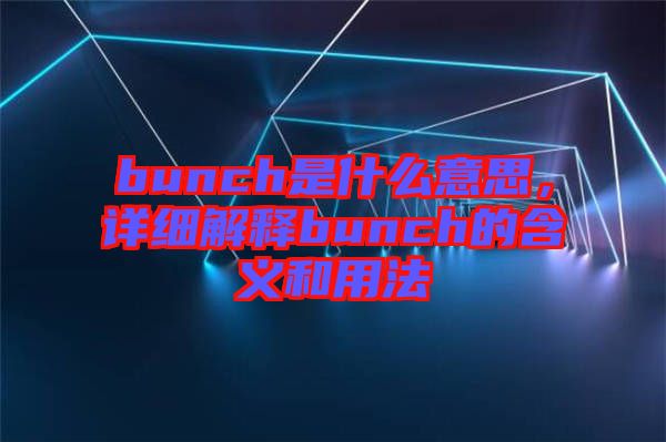 bunch是什么意思，詳細(xì)解釋bunch的含義和用法