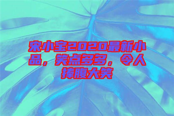 宋小寶2020最新小品，笑點(diǎn)多多，令人捧腹大笑