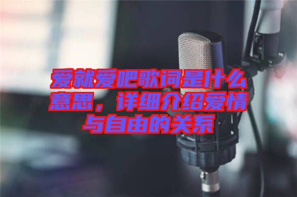 愛就愛吧歌詞是什么意思，詳細(xì)介紹愛情與自由的關(guān)系