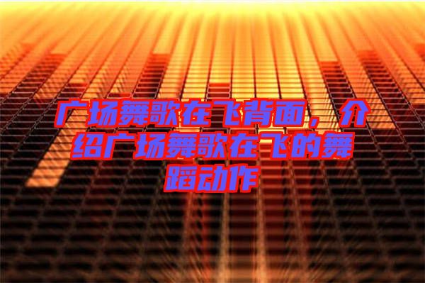 廣場舞歌在飛背面，介紹廣場舞歌在飛的舞蹈動(dòng)作