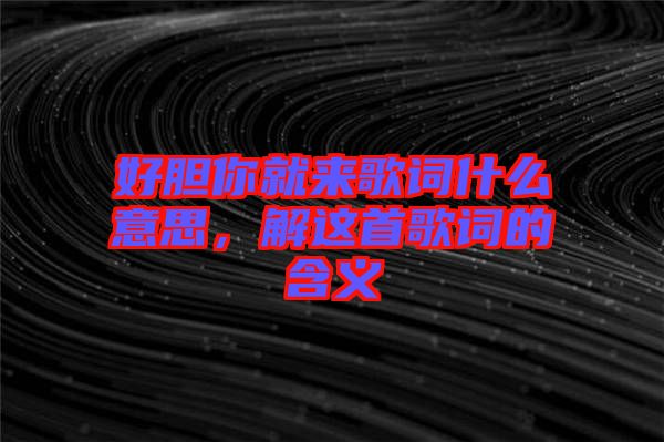 好膽你就來歌詞什么意思，解這首歌詞的含義