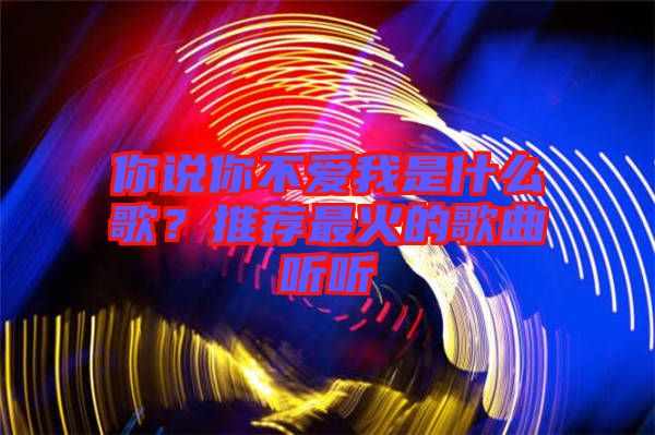 你說你不愛我是什么歌？推薦最火的歌曲聽聽