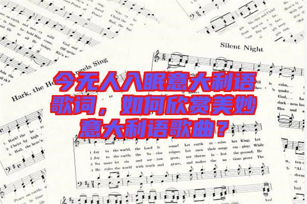 今無人入眠意大利語歌詞，如何欣賞美妙意大利語歌曲？