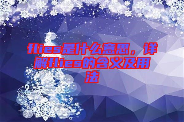 flies是什么意思，詳解flies的含義及用法