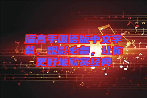 灌高手國語版中文字幕，觀影必備，讓你更好地欣賞經(jīng)典