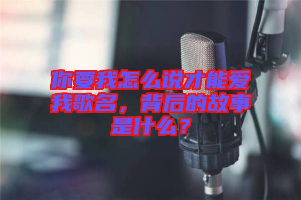 你要我怎么說(shuō)才能愛(ài)我歌名，背后的故事是什么？