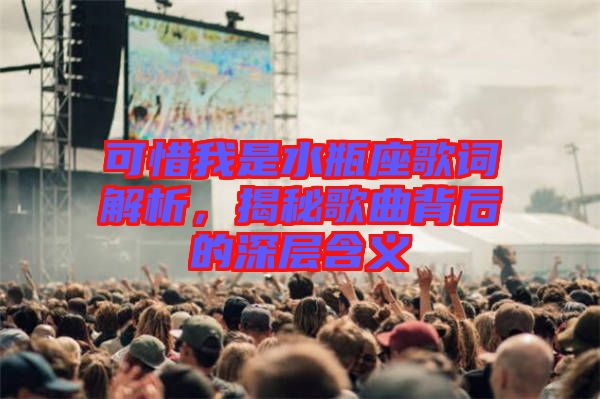 可惜我是水瓶座歌詞解析，揭秘歌曲背后的深層含義