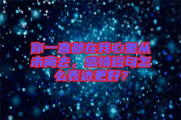 你一直都在我心里從未離去，感情短句怎么表達更好？