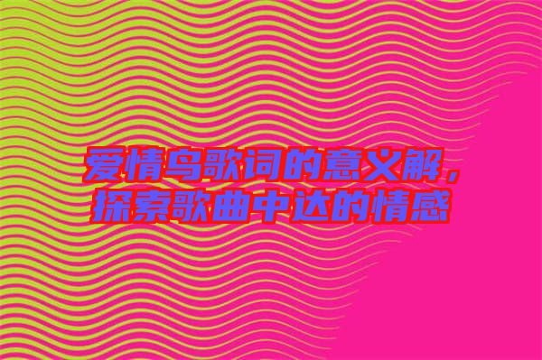 愛情鳥歌詞的意義解，探索歌曲中達(dá)的情感