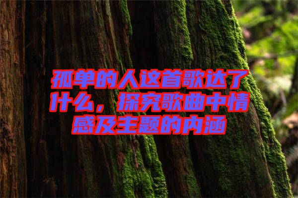 孤單的人這首歌達(dá)了什么，探究歌曲中情感及主題的內(nèi)涵