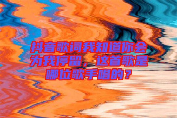 抖音歌詞我知道你會為我停留，這首歌是哪位歌手唱的？