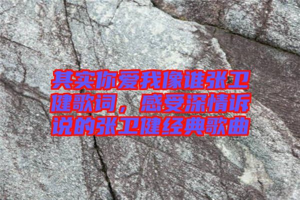 其實你愛我像誰張衛(wèi)健歌詞，感受深情訴說的張衛(wèi)健經(jīng)典歌曲