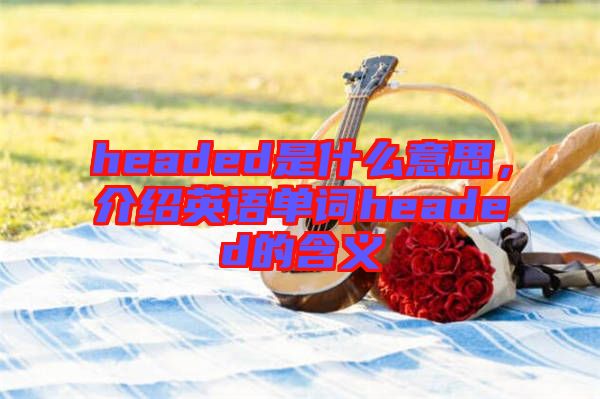 headed是什么意思，介紹英語單詞headed的含義