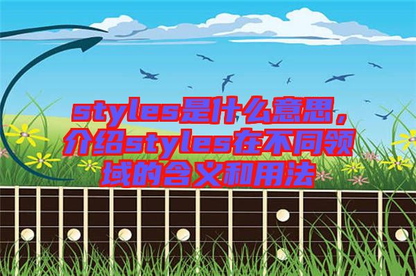 styles是什么意思，介紹styles在不同領(lǐng)域的含義和用法