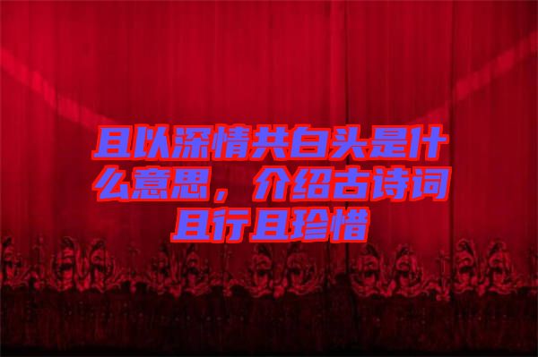 且以深情共白頭是什么意思，介紹古詩(shī)詞且行且珍惜