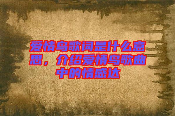 愛情鳥歌詞是什么意思，介紹愛情鳥歌曲中的情感達