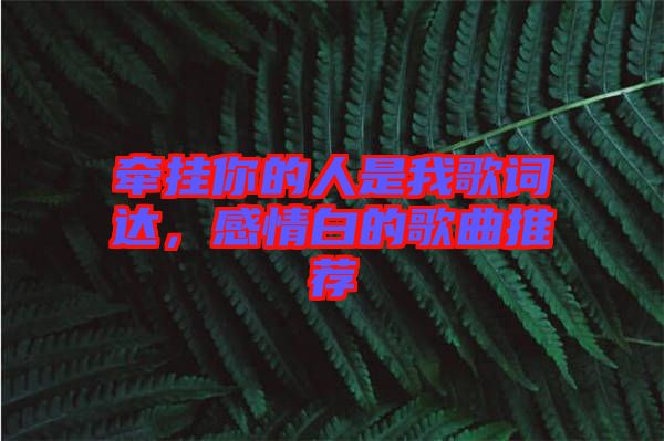 牽掛你的人是我歌詞達(dá)，感情白的歌曲推薦