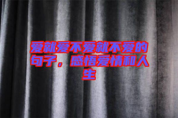 愛就愛不愛就不愛的句子，感悟愛情和人生