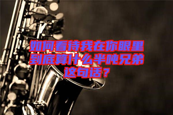 如何看待我在你眼里到底算什么半噸兄弟這句話(huà)？