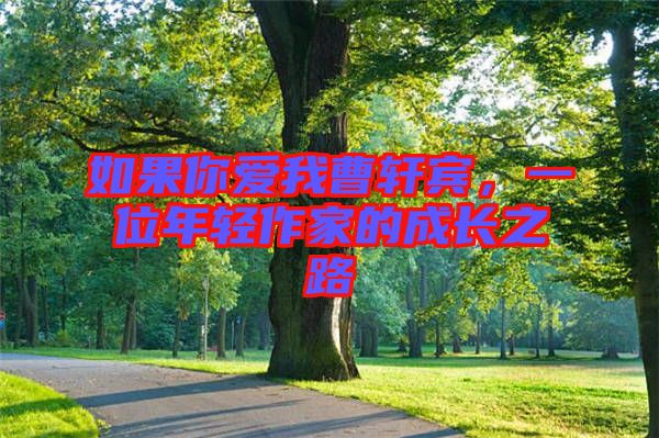 如果你愛(ài)我曹軒賓，一位年輕作家的成長(zhǎng)之路