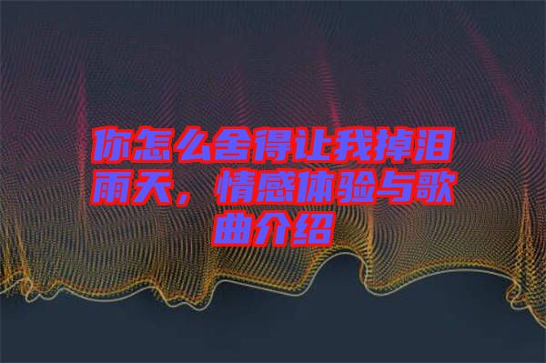 你怎么舍得讓我掉淚雨天，情感體驗與歌曲介紹