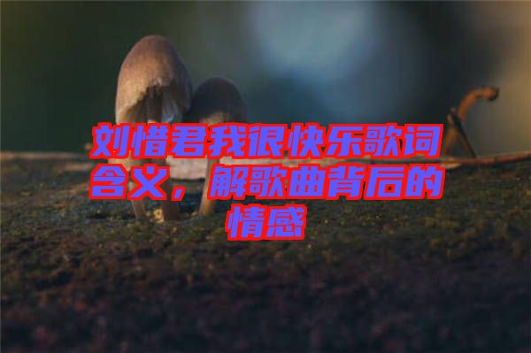 劉惜君我很快樂(lè)歌詞含義，解歌曲背后的情感