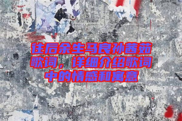 往后余生馬良孫茜茹歌詞，詳細(xì)介紹歌詞中的情感和寓意