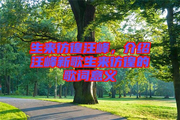 生來彷徨汪峰，介紹汪峰新歌生來彷徨的歌詞意義