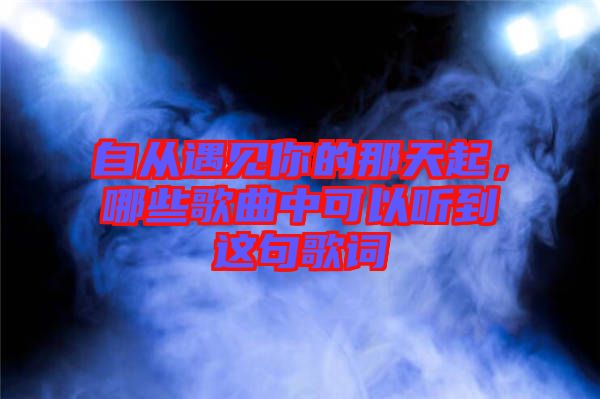 自從遇見你的那天起，哪些歌曲中可以聽到這句歌詞