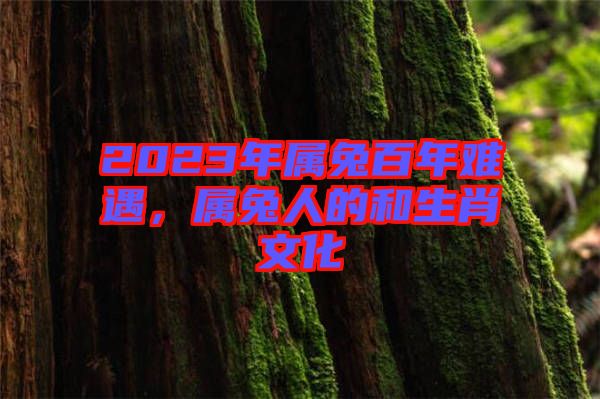 2023年屬兔百年難遇，屬兔人的和生肖文化