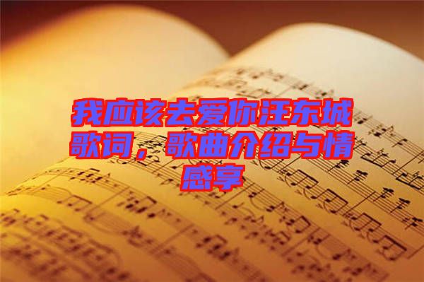 我應該去愛你汪東城歌詞，歌曲介紹與情感享