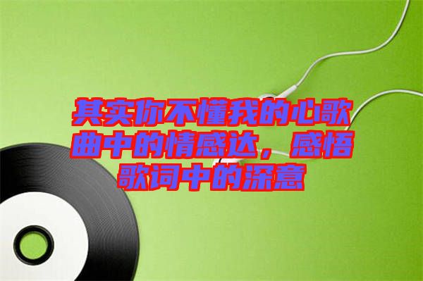 其實(shí)你不懂我的心歌曲中的情感達(dá)，感悟歌詞中的深意