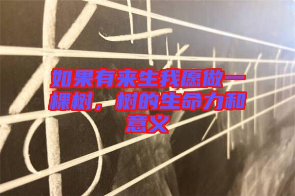 如果有來(lái)生我愿做一棵樹(shù)，樹(shù)的生命力和意義