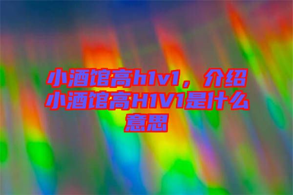 小酒館高h(yuǎn)1v1，介紹小酒館高H1V1是什么意思