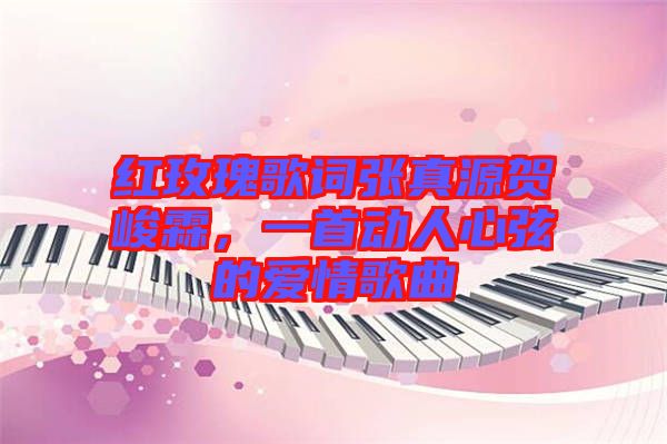 紅玫瑰歌詞張真源賀峻霖，一首動(dòng)人心弦的愛情歌曲