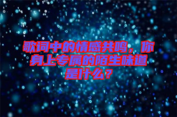 歌詞中的情感共鳴，你身上專屬的陌生味道是什么？