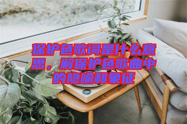 保護(hù)色歌詞是什么意思，解保護(hù)色歌曲中的隱喻和象征