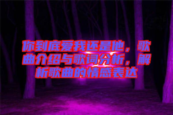 你到底愛我還是他，歌曲介紹與歌詞分析，解析歌曲的情感表達(dá)