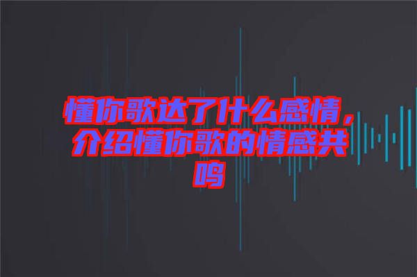 懂你歌達了什么感情，介紹懂你歌的情感共鳴