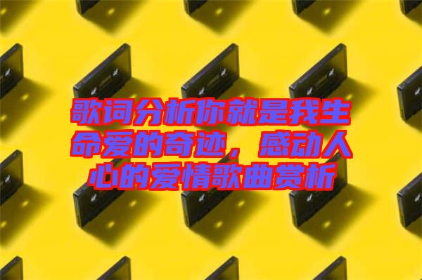 歌詞分析你就是我生命愛的奇跡，感動(dòng)人心的愛情歌曲賞析