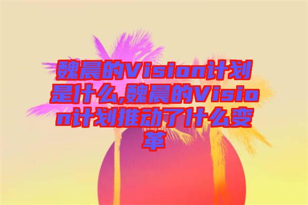 魏晨的Vision計(jì)劃是什么,魏晨的Vision計(jì)劃推動了什么變革