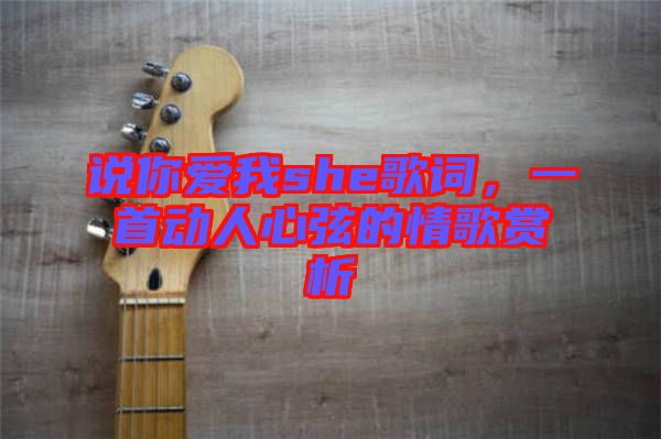 說你愛我she歌詞，一首動人心弦的情歌賞析