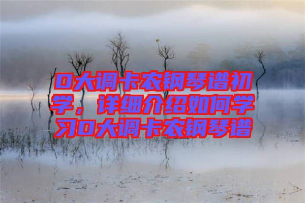 D大調(diào)卡農(nóng)鋼琴譜初學(xué)，詳細(xì)介紹如何學(xué)習(xí)D大調(diào)卡農(nóng)鋼琴譜