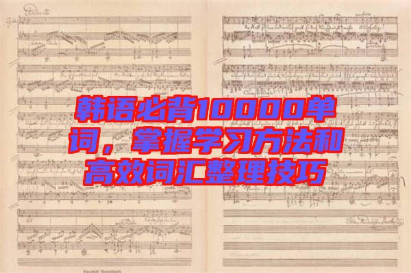 韓語必背10000單詞，掌握學(xué)習(xí)方法和高效詞匯整理技巧