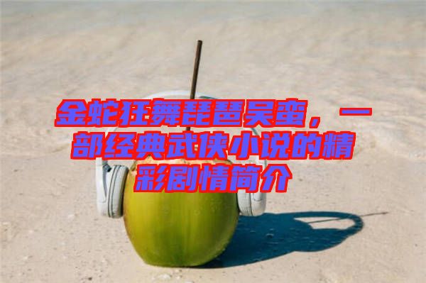 金蛇狂舞琵琶吳蠻，一部經(jīng)典武俠小說的精彩劇情簡介