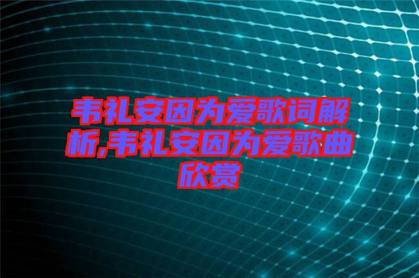 韋禮安因?yàn)閻?ài)歌詞解析,韋禮安因?yàn)閻?ài)歌曲欣賞