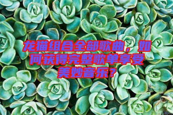 龍貓組合全部歌曲，如何獲得完整歌單享受美妙音樂(lè)？