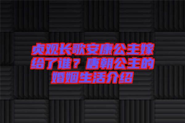 貞觀長(zhǎng)歌安康公主嫁給了誰(shuí)？唐朝公主的婚姻生活介紹